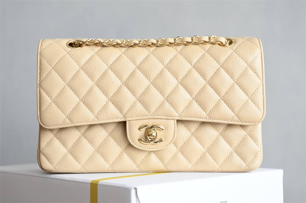 Chanel Classic Flap 25cm 2025 new 